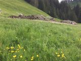 Schwarzsee, Quellwasserfassung